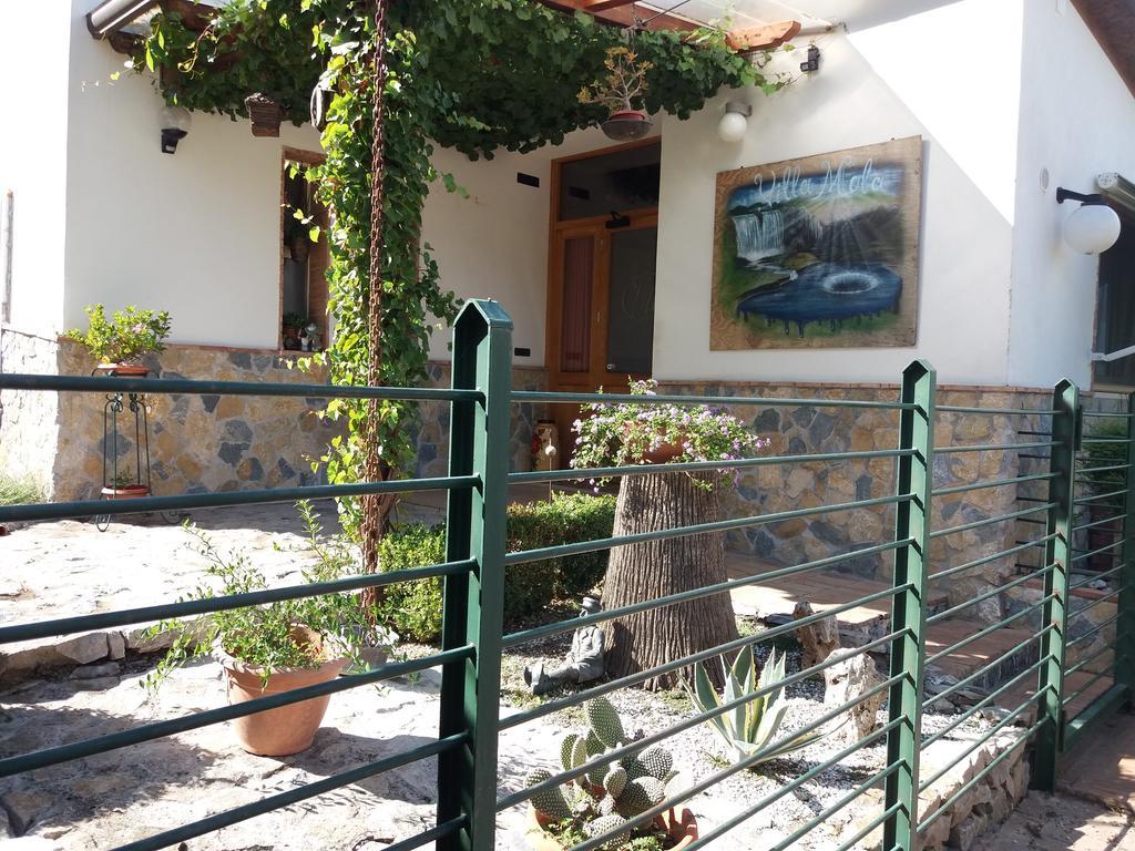 Villa Mola Bed And Breakfast Corbara  ภายนอก รูปภาพ