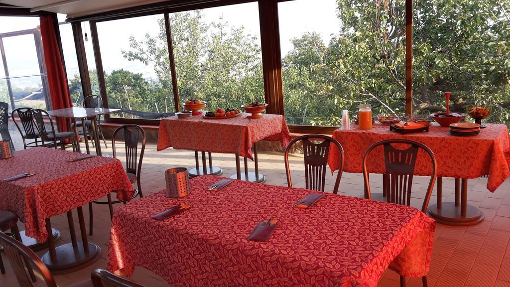 Villa Mola Bed And Breakfast Corbara  ภายนอก รูปภาพ